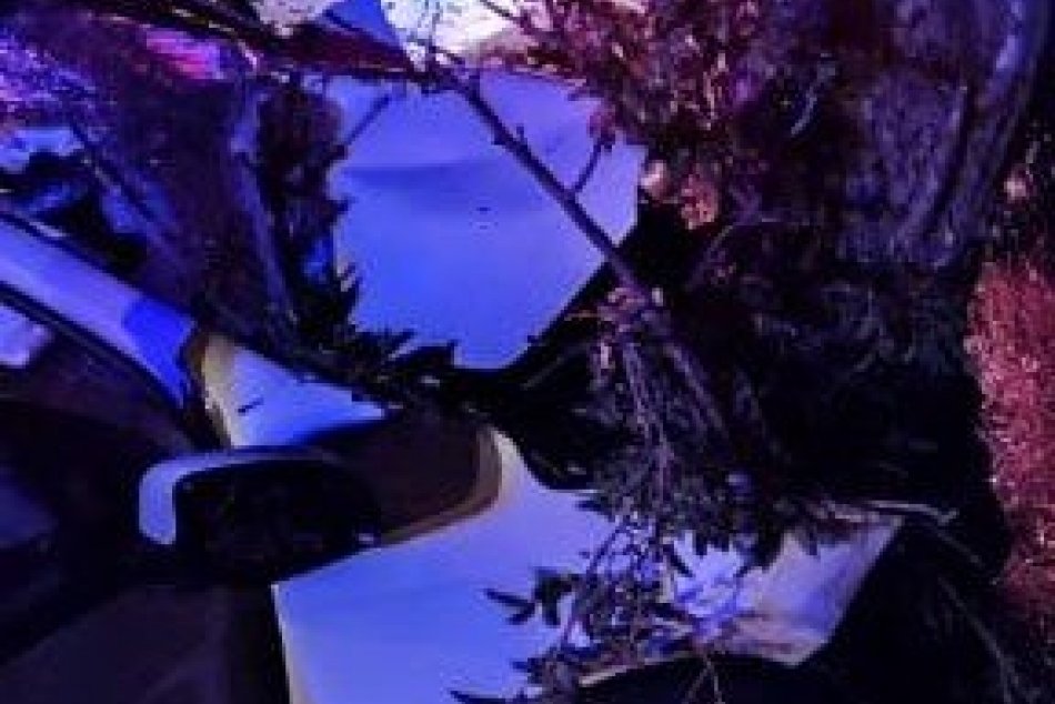 Nezvládla riadenie, traja ťažko zranení