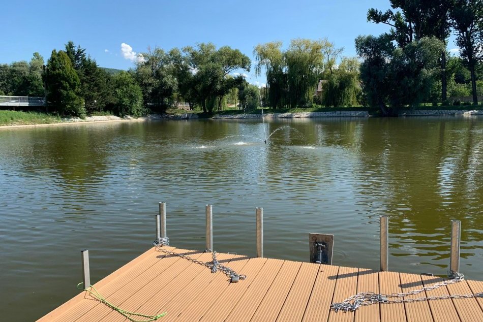 Rybník v Devínskej Novej Vsi