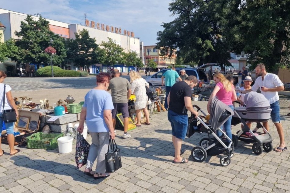 Augustový Topoľčiansky blšák