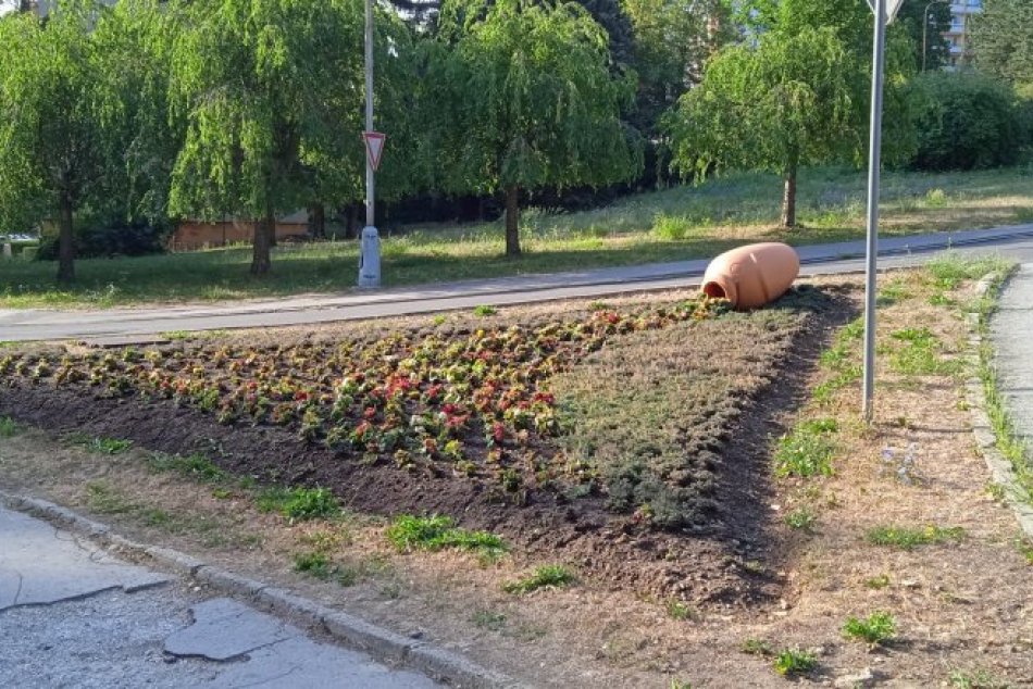 V OBRAZOCH: Rozkvitnuté kvetinové záhony v uliciach Bystrice