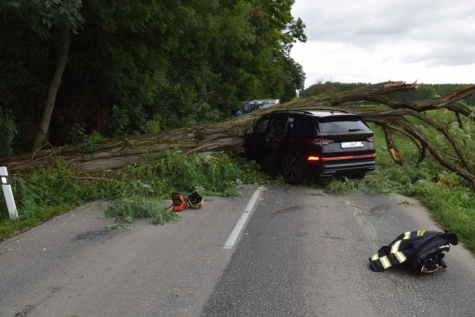 Na auto počas jazdy spadol mohutný strom