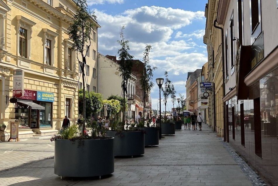 Pešiu zónu v Nitre skrášlili nové stromy: Rastú v mobilných kvetináčoch, FOTO