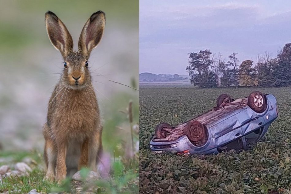 V repkovom poli tu skončilo auto na streche