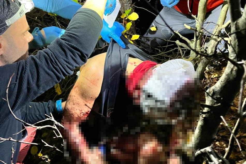 Útok medveďa na bežca v Lúčanskej Malej Fatre