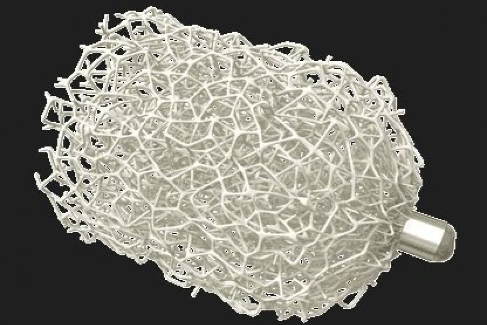 V OBRAZOCH: Materiál vyvinutý v Silicon Valley použili na spevnenie aorty