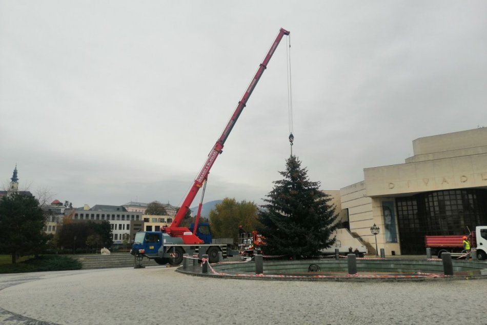 Na Svätoplukovom námestí už stojí vianočný stromček