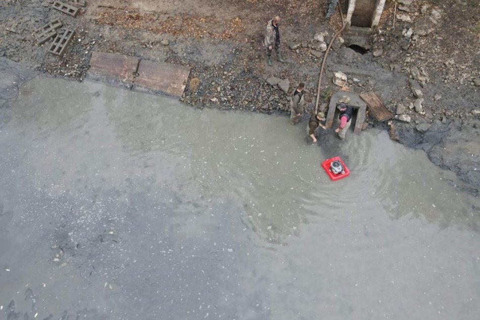 Výlov z vodnej nádrže Nová Ves nad Žitavou