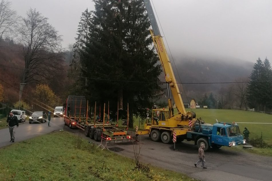 V OBRAZOCH: Bystrické námestie zdobí nový vianočný stromček