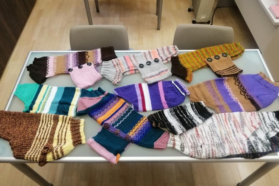 Zbierka pre nitriansky útulok