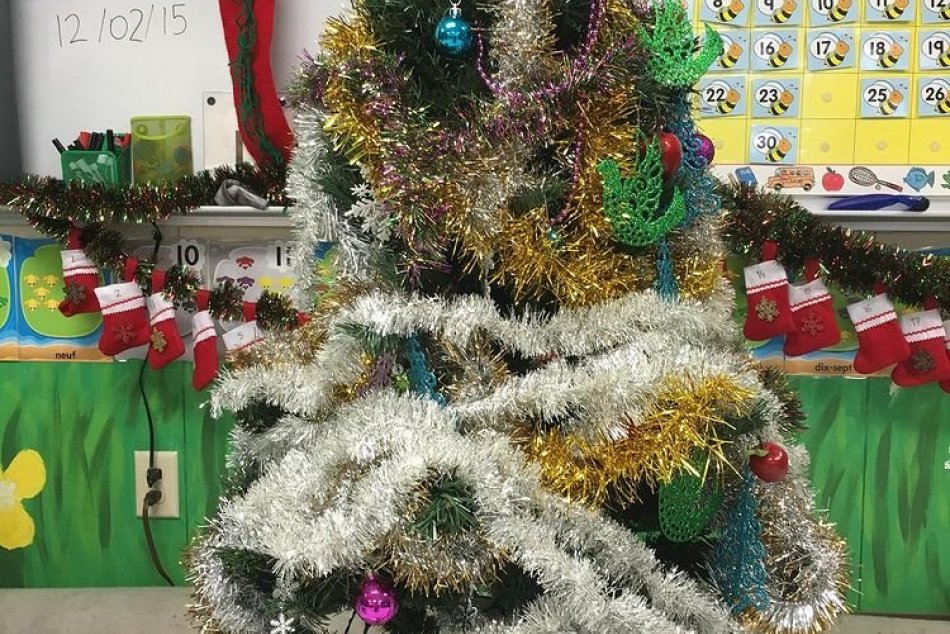 FOTO: Vianočné stromčeky