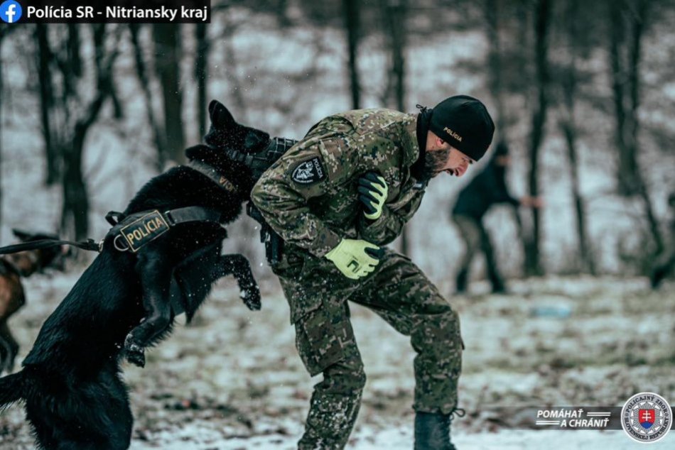 Výcvik psovodov na Duchonke