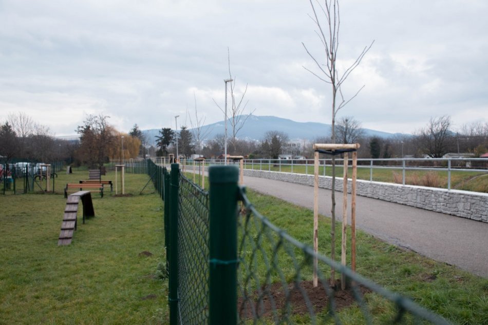 Nové stromy pri psom výbehu