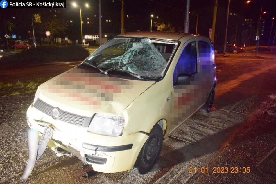 Pri nehode zomrel psík aj s majiteľom...