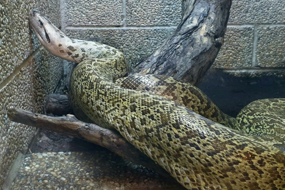 Univerzitné vivárium v Nitre