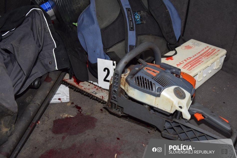 OHAVNÁ vražda: Bratislavčan KLADIVOM na smrť dobil svojho psíka