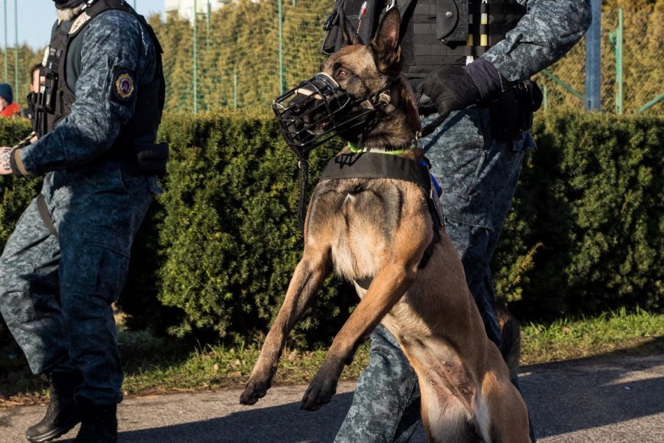 Veľké cvičenie mestskej polície