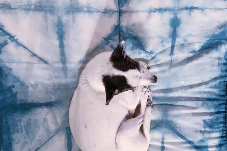 FOTO: Jar 2023 ovládnu tieto dekoračné trendy!