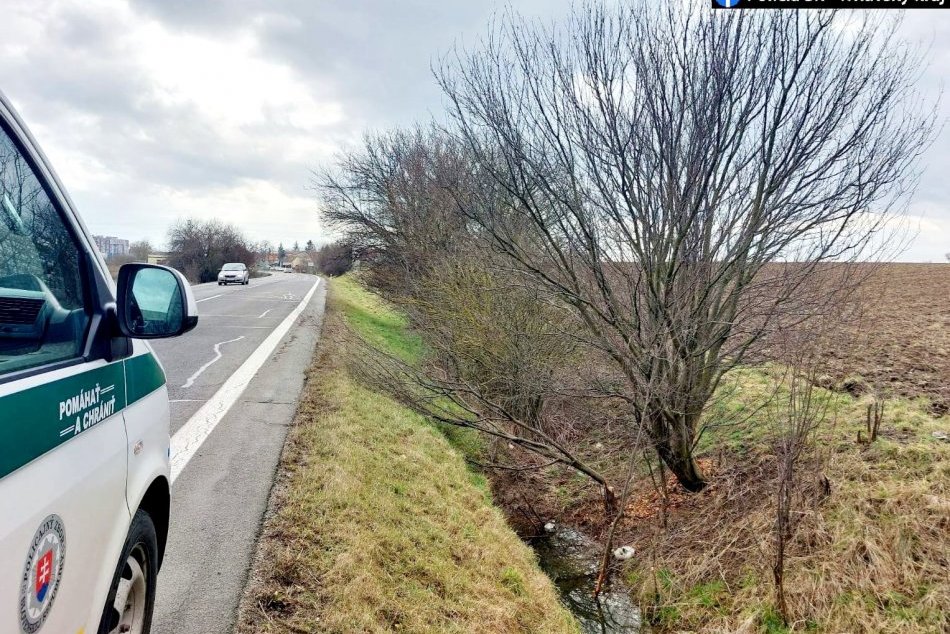 Za padnutý strom môže bobor