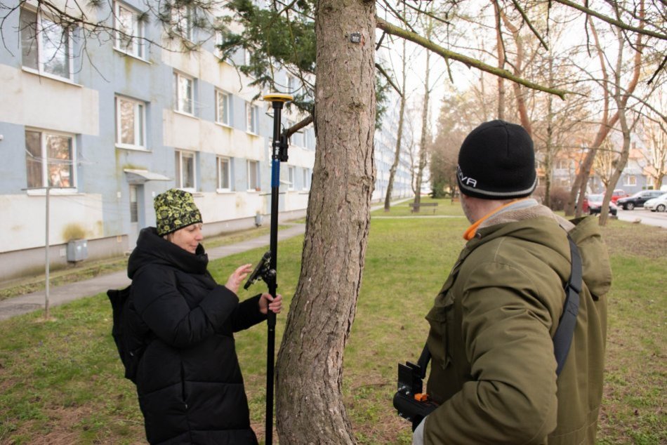 Nitra začala pracovať na komplexnej evidencii stromov