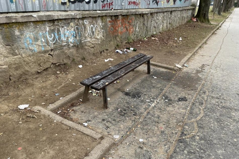 Objektívom: Na stromoradí je pravidelne neporiadok, mesto má riešenie