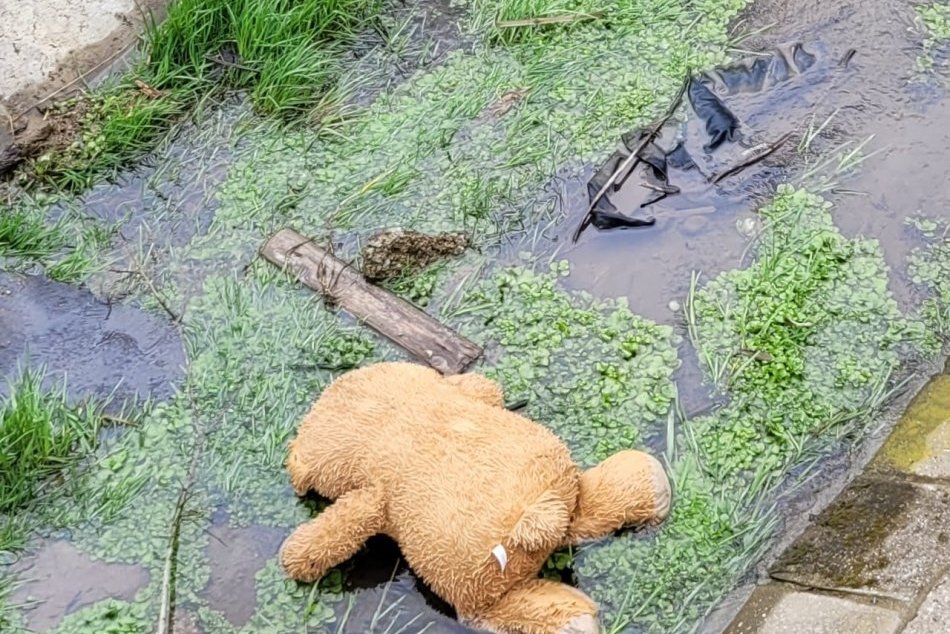 V OBRAZOCH: Plyšový medveď v potoku je hitom internetu