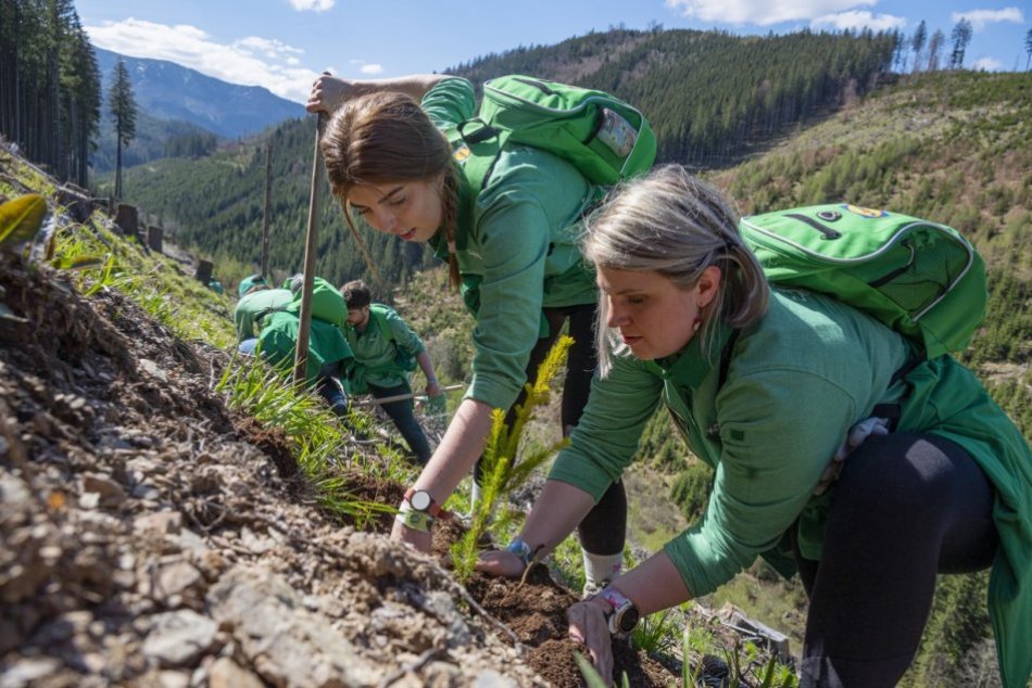 Objektívom: V Tatrách sadili stromčeky, vytvorili tým nový rekord