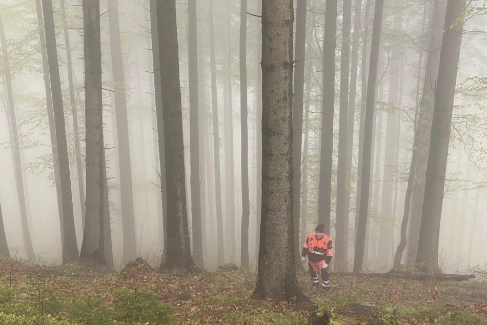 Pátranie po lietadle v okolí Oravskej Lesnej