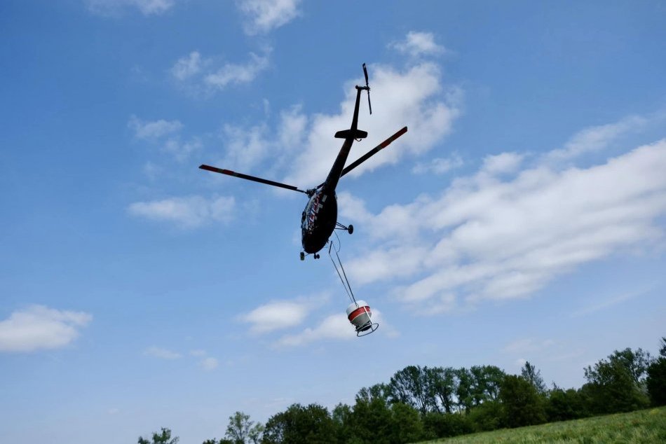 Hlavné mesto bojuje proti komárom