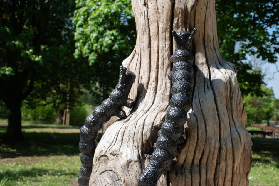 Sochy zvierat v nitrianskom parku