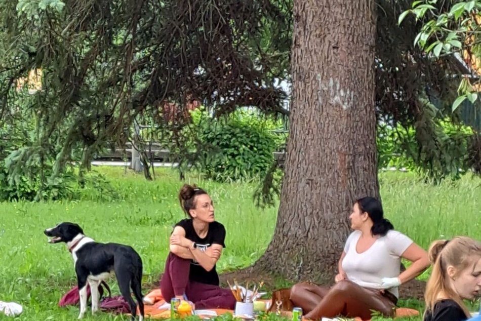 V OBRAZOCH: Piknik amatérskych umelcov v Banskej Bystrici