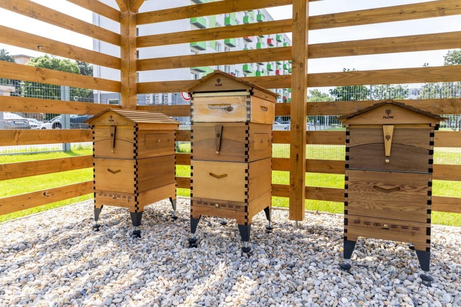 V Ružinove majú 180 tisíc nových návštevníkov