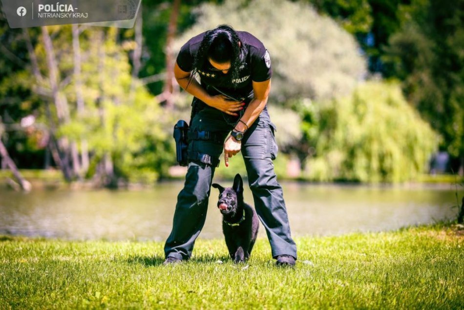 Qeryy Policia Slovakia