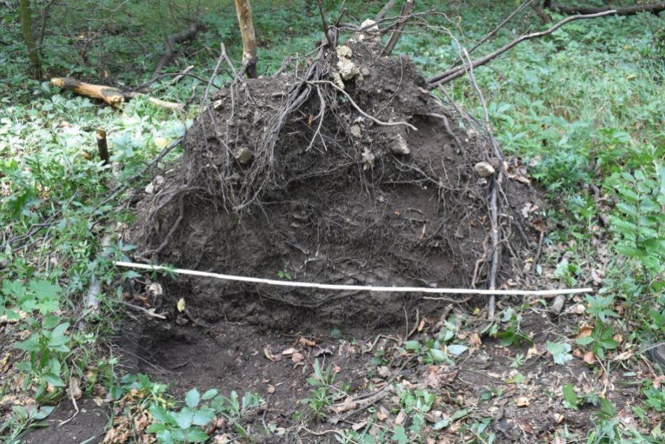 Poklad pri Piešťanoch