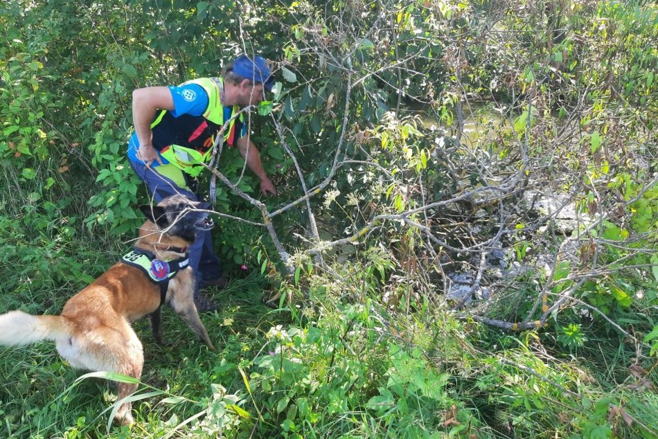 V OBRAZOCH: Pátranie psovodov HZS