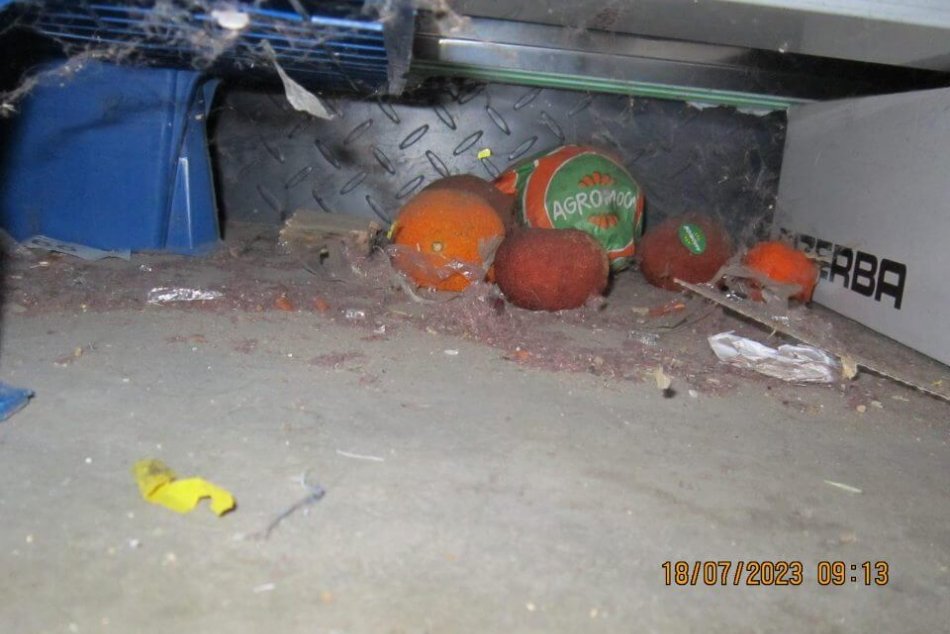 ZÁBERY z kontrol v predajniach s potravinami