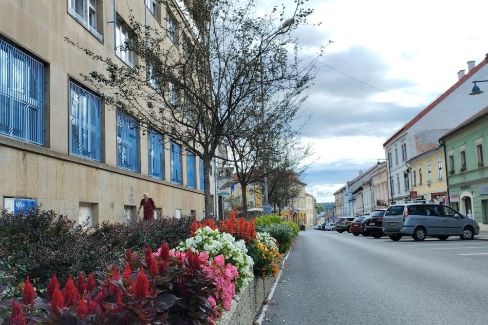 V OBRAZOCH: Bystrica zakvitla letničkami