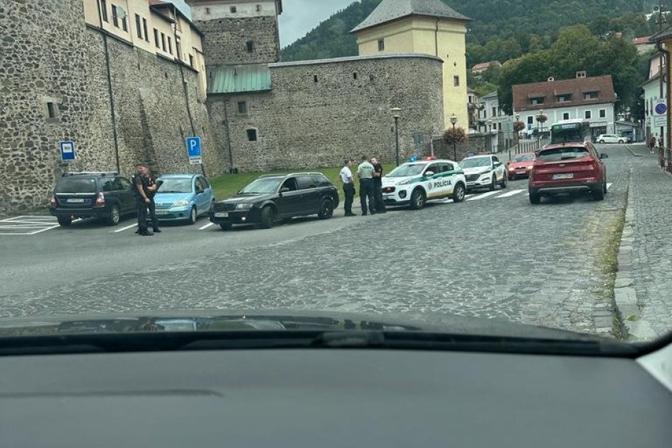 V OBRAZOCH: Policajná akcia Doga