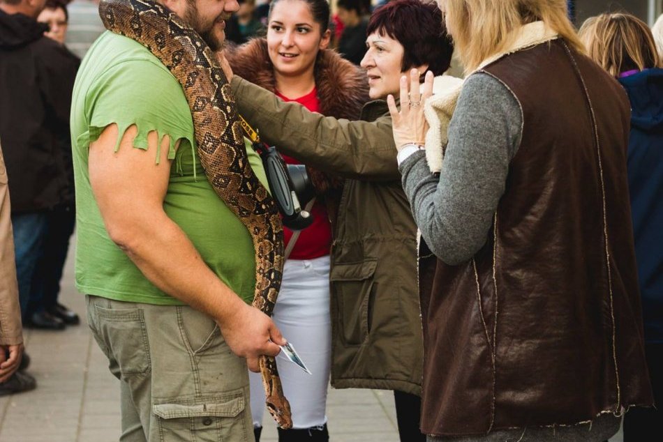 Jarmok Šimona-Júdu v Štúrove