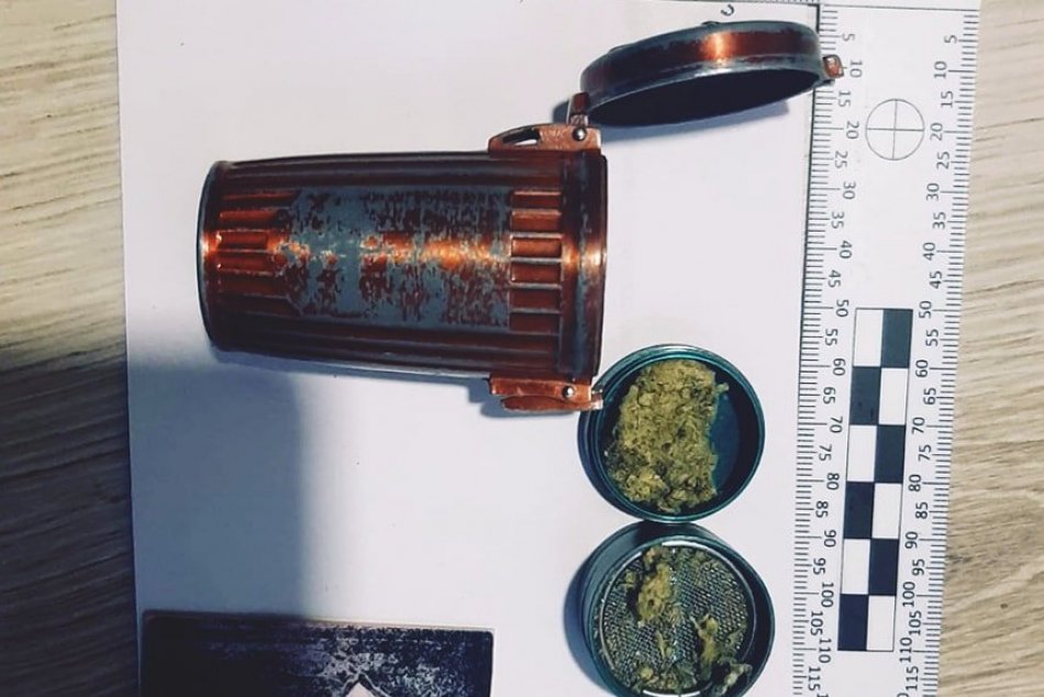 V OBRAZOCH: Kriminalisti zaistili v jednom z domov podozrivý rastlinný materiál