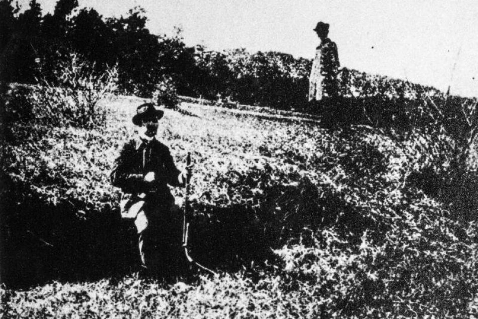 Zemetrasenie v Dobrej Vode