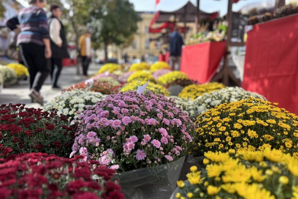 V OBRAZOCH: Bystrické cintoríny sa pripravujú na Dušičky