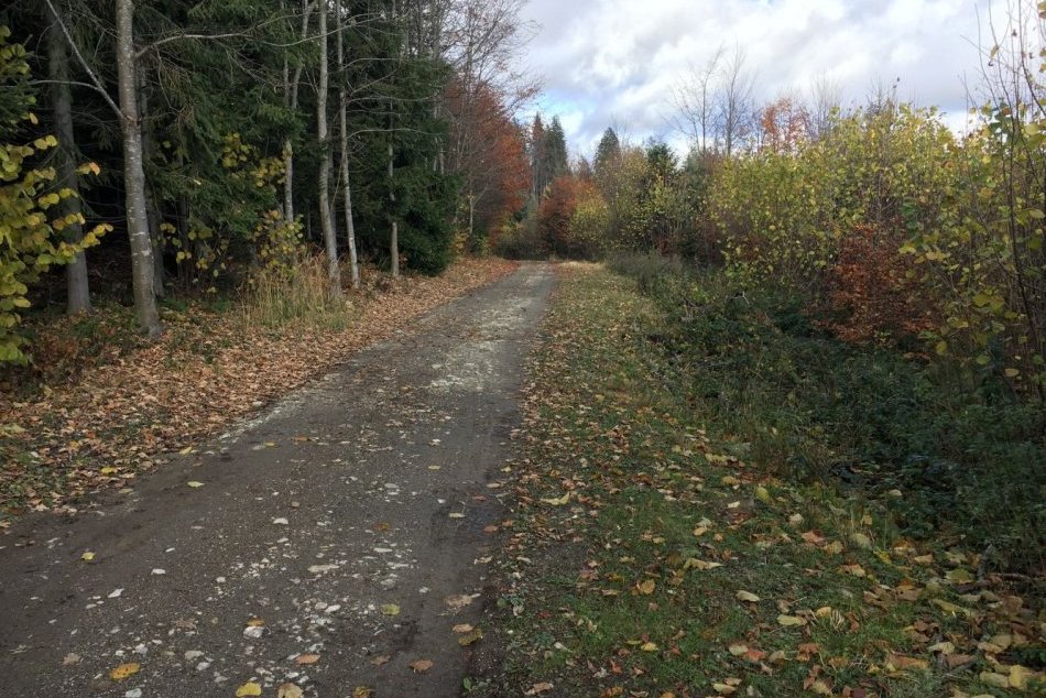 V OBRAZOCH: Príprava na bežkársku sezónu v Kremnických vrchoch