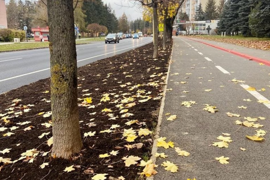 V OBRAZOCH: Zmierniť dôsledky zmeny klímy pomôžu v Brezne aj mestské lúky