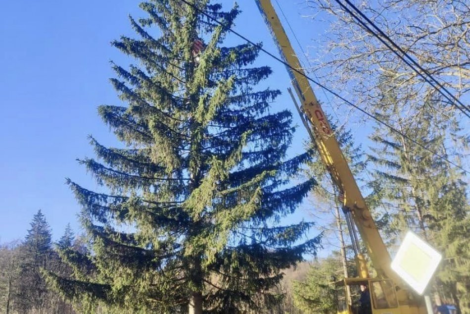 V OBRAZOCH: Cesta vianočného stromčeka na bystrické Námestie SNP