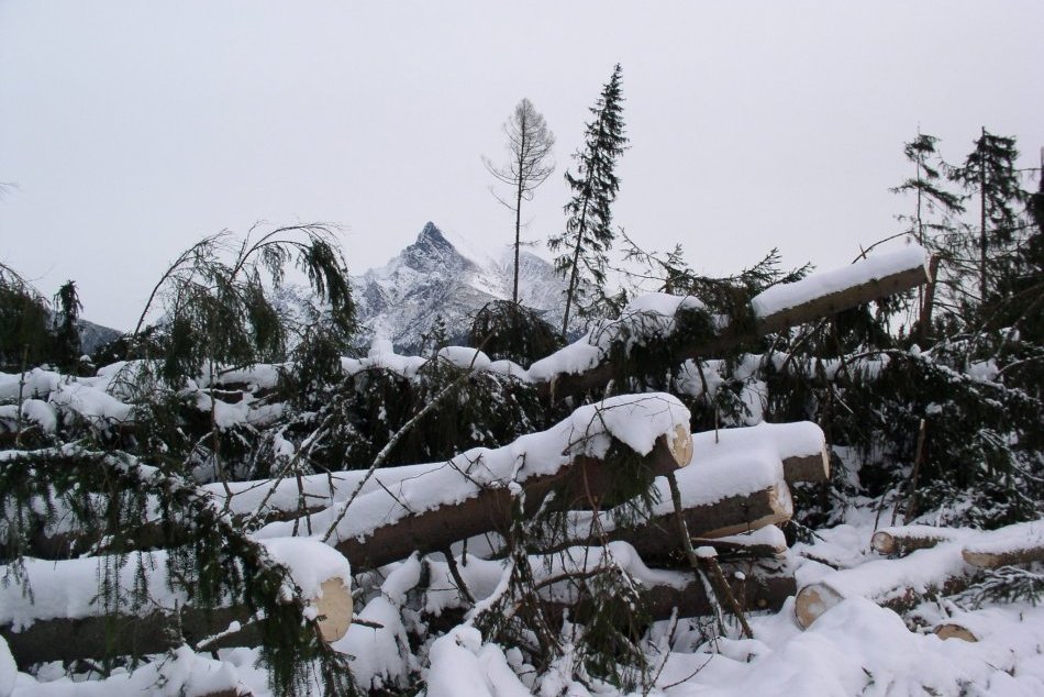 Objektívom: Skaza v Tatrách prišla pred 19 rokmi