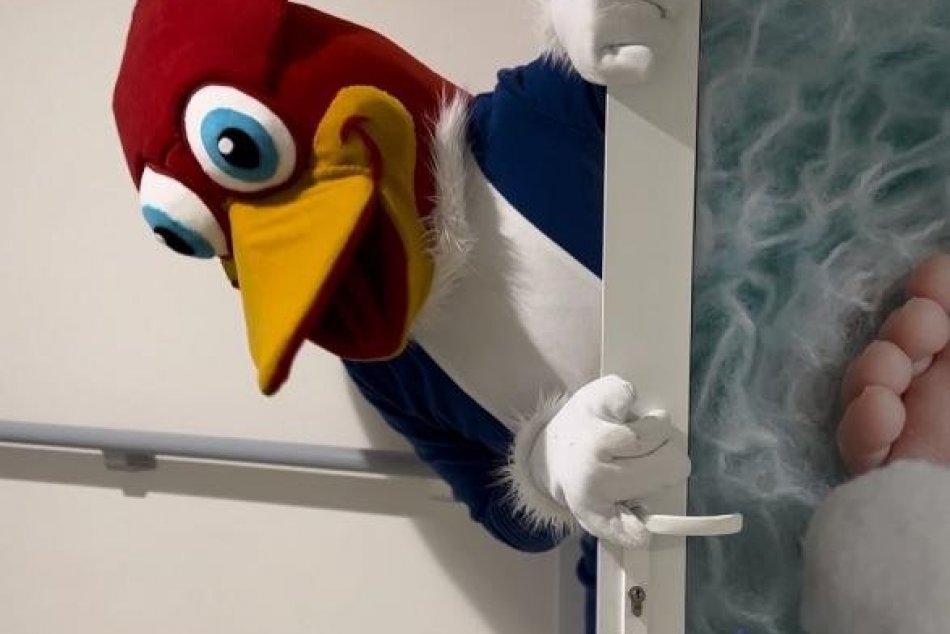 Objektívom: Popradská nemocnica má maskota, volá sa Nepo