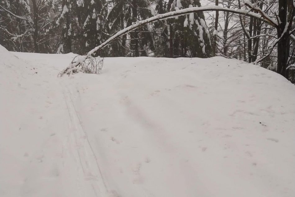 V OBRAZOCH: Úprava bežkárskej trate na Malom Šturci
