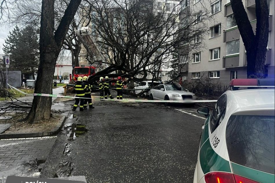 Na autá na Bajzovej ulici sa zrútil strom