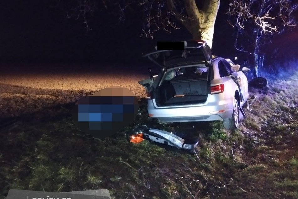 Náraz do stromu neprežil mladý vodič, mal len 22 rokov