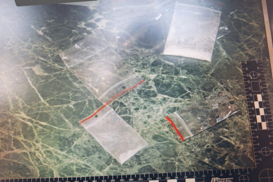 V OBRAZOCH: Policajti obvinili päť osôb z drogovej trestnej činnosti